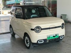 Geely Galaxy Panda mini 210km Yuanqi Bear - ფოტო 3