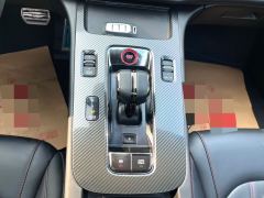GAC Shadow Leopard 270T J16 Edition - фото 8