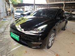 Tesla Model Y Standard Range Edition - photo 1
