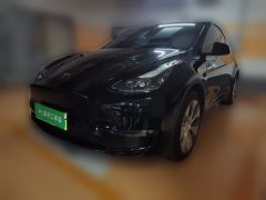 Tesla Model Y Standard Range Edition - photo 2