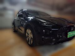 Tesla Model Y Standard Range Edition - photo 4
