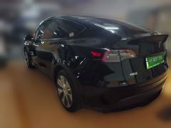 Tesla Model Y Standard Range Edition - photo 6