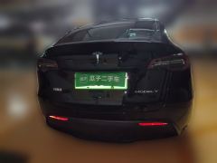 Tesla Model Y Standard Range Edition - photo 7