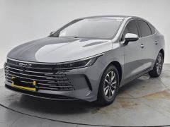 BYD Destroyer 05 Glory Edition DM-i 55KM Luxury - фото 1
