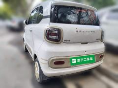 FAW Besturn Xiaoma 170km Vitality Edition - ფოტო 4