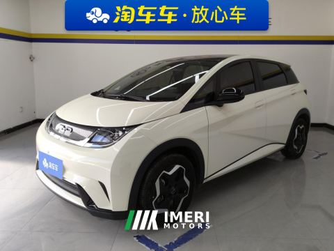 2021 BYD Dolphin 405km Stylish Edition - car from China