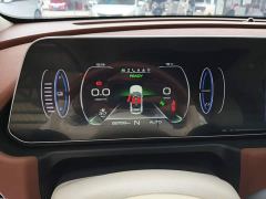 ORA Good Cat 400km Standard Range Venus Edition LFP Battery - фото 11