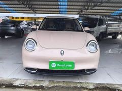 ORA Good Cat 400km Standard Range Venus Edition LFP Battery - фото 2