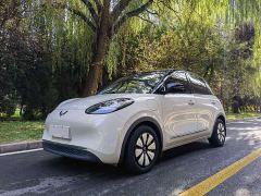 Wuling Binguo 333km Lingxi Connected Edition - photo 1