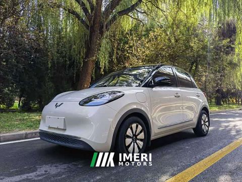 2024 Wuling Binguo 333km Lingxi Connected Edition - car from China