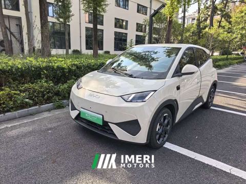 2025 BYD Seagull Smart Driving Edition 305km Freedom Edition - car from China