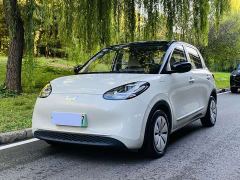Wuling Binguo 333km Joy Edition - ფოტო 1