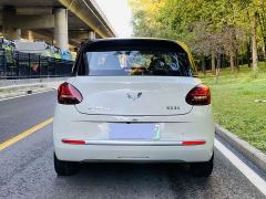 Wuling Binguo 333km Joy Edition - ფოტო 14