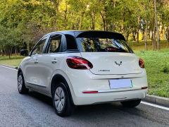 Wuling Binguo 333km Joy Edition - ფოტო 15