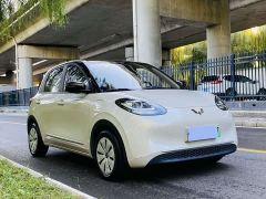 Wuling Binguo 333km Joy Edition - ფოტო 3