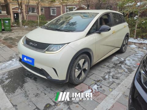 2023 BYD Dolphin 420km Free Version