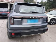 Great Wall Dachshund 1.5T DCT Border Collie Edition - ფოტო 5