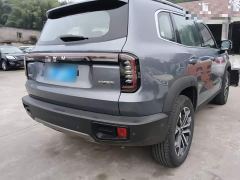 Great Wall Dachshund 1.5T DCT Border Collie Edition - ფოტო 6