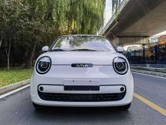 Changan Lumin Treasure Edition 205km Cool Love White CATL - фото 3