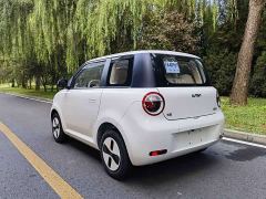Changan Lumin Treasure Edition 205km Cool Love White CATL - фото 5