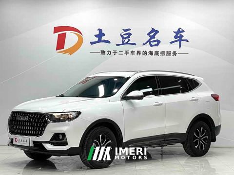 2023 Haval H6 National Trend Edition 1.5T Automatic Urban Version - ავტომობილი ჩინეთიდან