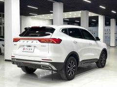 Haval H6 National Trend Edition 1.5T Automatic Urban Version - фото 15