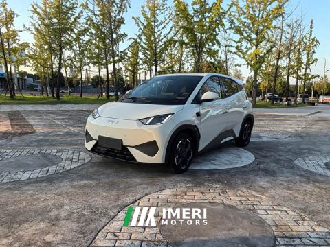 2025 BYD Seagull Smart Drive 305km Vitality Edition - car from China