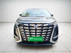 Denza D9 DM-i 1040 Premium - фото 2