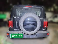Tank 300 Off-Road Edition 2.0T Conqueror - ფოტო 5