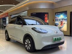 Wuling Binguo 333km Joy Edition - ფოტო 3