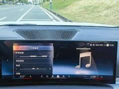 BMW 3 Series 330Li M Sport Night Edition Package - ფოტო 14