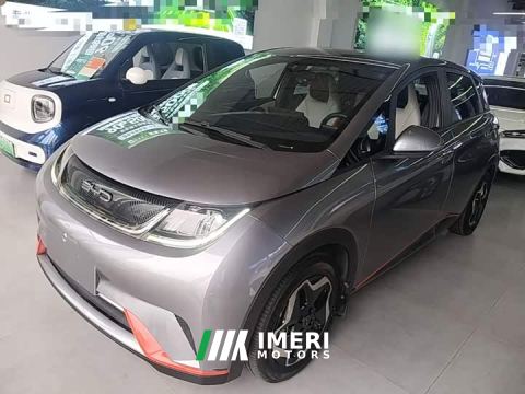 2022 BYD Dolphin 405km Freedom Edition - ავტომობილი ჩინეთიდან