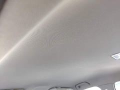 Geely Star Wish 310km Dream Edition - ფოტო 17