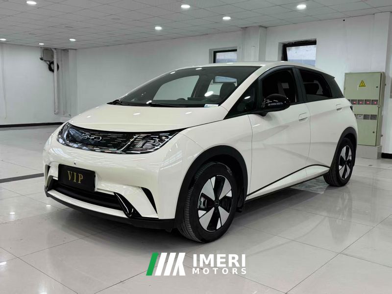 BYD Dolphin 420km Stylish Edition - ავტომობილი ჩინეთიდან