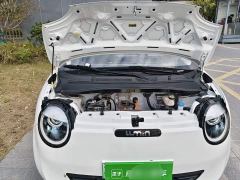 Changan Lumin 205km Xiangqin Edition - ფოტო 19