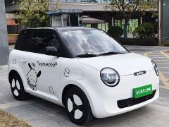 Changan Lumin 205km Xiangqin Edition - ფოტო 3