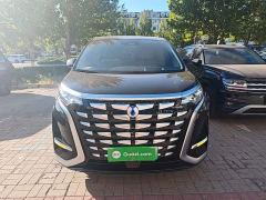 Denza D9 DM-i 970 AWD Premium Edition - photo 2