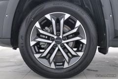 Haval Dargo PLUS 2.0T 2WD EditionPlus - photo 6