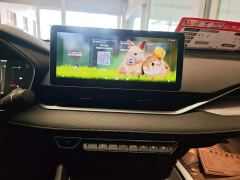 Geely Xingrui 2.0T Diesel Luxury - фото 12