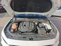 Geely Xingrui 2.0T Diesel Luxury - фото 19