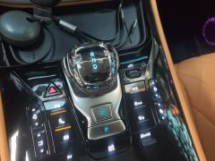 Denza D9 DM-i 1050 Luxury Edition - photo 10
