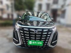 Denza D9 DM-i 1050 Luxury Edition - photo 2