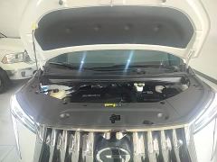 GAC Aion M8 Master Series 400T Premium Edition - ფოტო 19