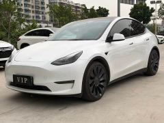 Tesla Model Y Performance All-Wheel Drive - фото 1
