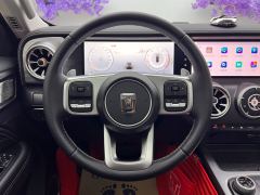 Tank 300 2.0T Explorer - фото 14