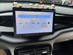 BYD Qin PLUS Glory Edition DM-i 55KM Leading - фото 14
