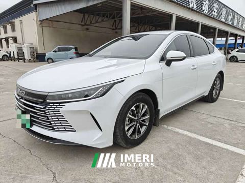 2024 BYD Destroyer 05 Glory Edition DM-i 55KM Luxury - ავტომობილი ჩინეთიდან
