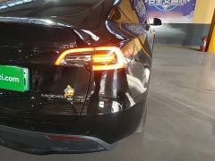 Tesla Model Y Rear-Wheel Drive - photo 7