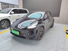 Tesla Model Y Rear-Wheel Drive - ფოტო 1