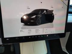 Tesla Model Y Rear-Wheel Drive - ფოტო 11